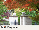Fall colors video thumbnail