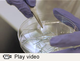 Pton engineering video thumbnail