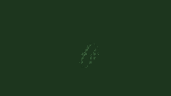 Time-lapse of bacterial growth over four hours