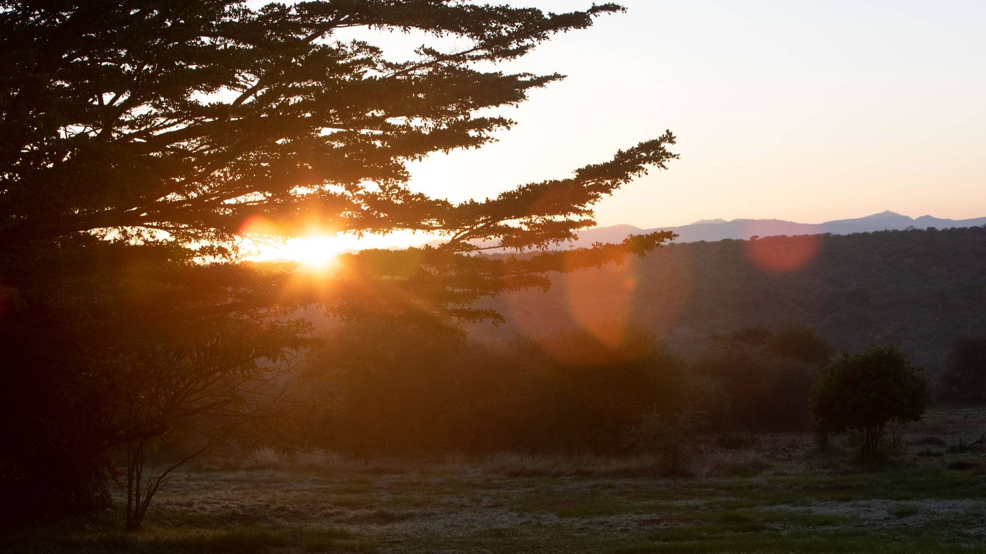 Sunrise at Mpala