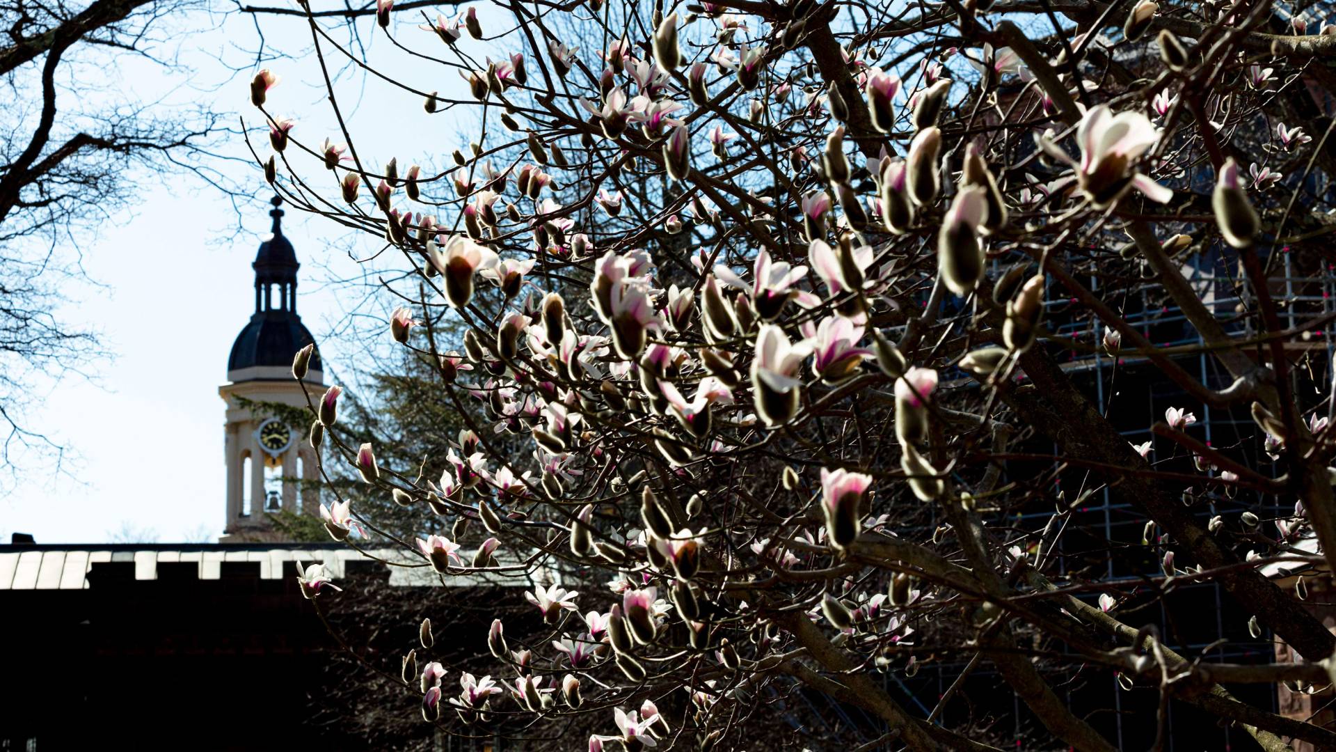 Nassau Hall