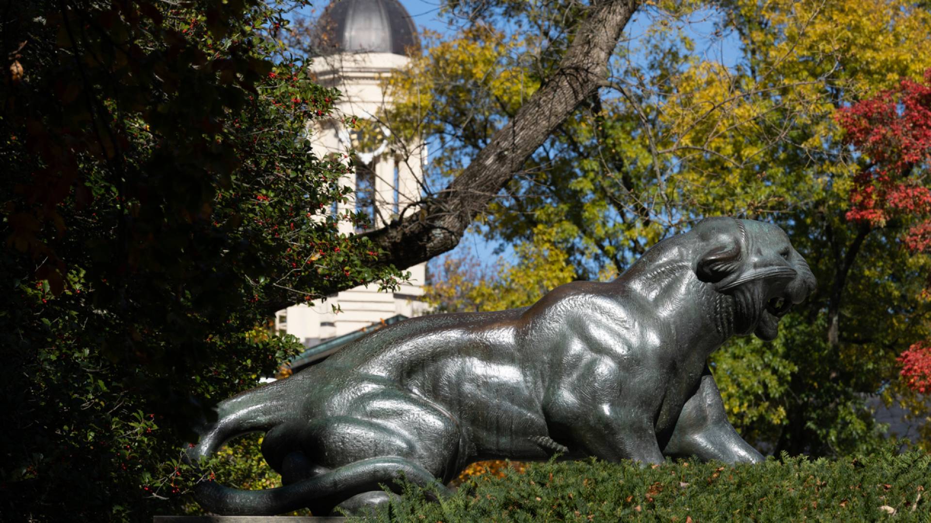 Statue of a tiger