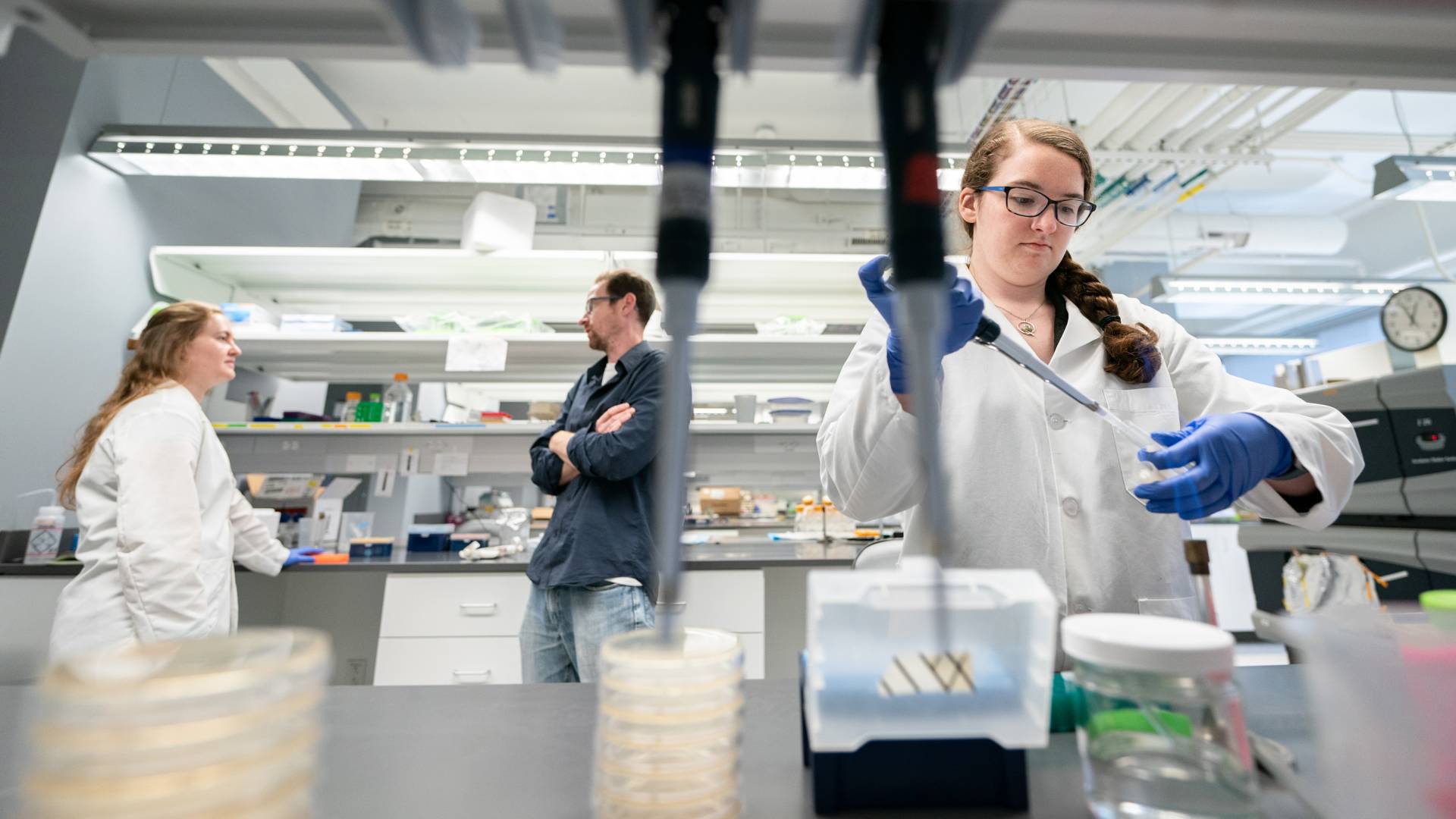 Researchers in lab coats conduct experiments to investigate bacteria.