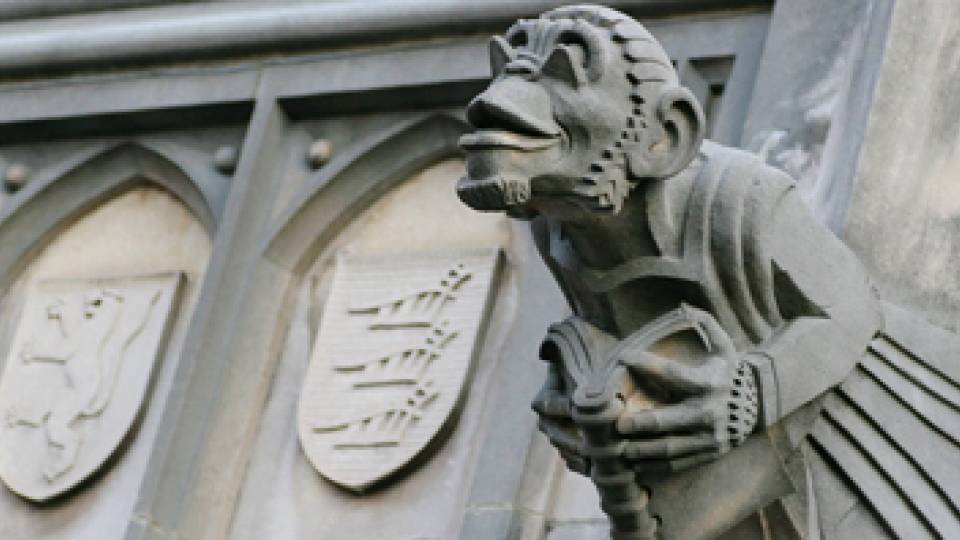 The Literate Ape
