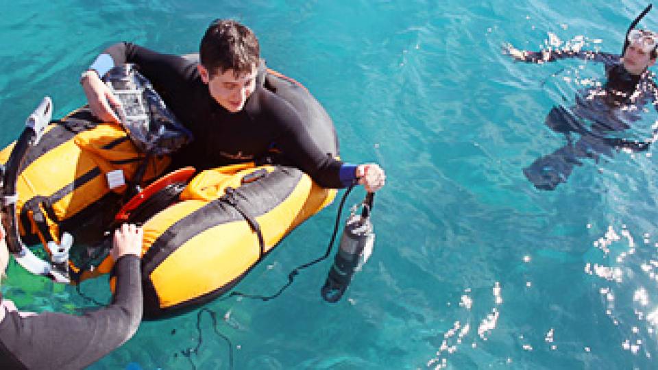 Students in Bermuda