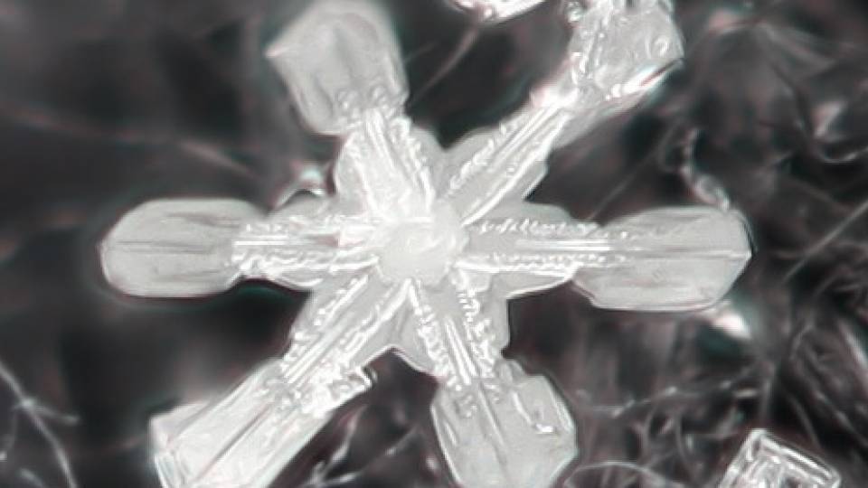 Snowflakes homepage