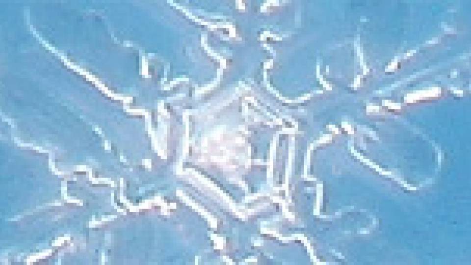 Snowflakes multimedia