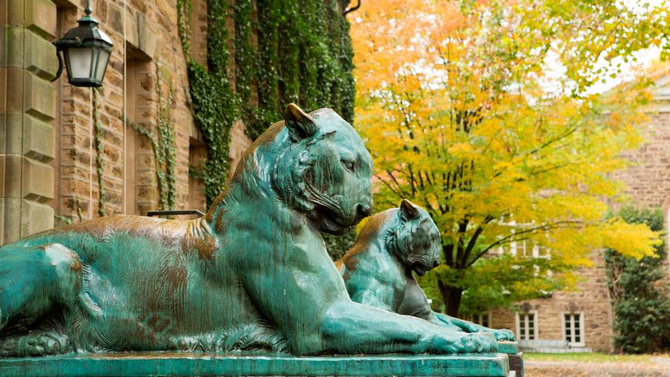 Tigers in front of Nassau Hall
