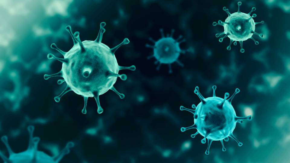 illustration of COVID19 viruses