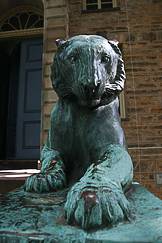 Nassau tigers