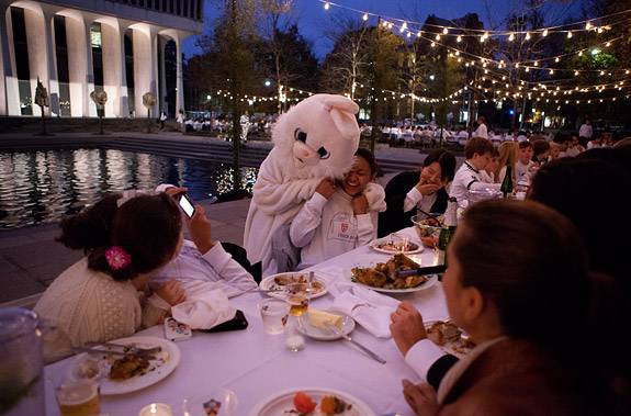 White Dinner rabbit