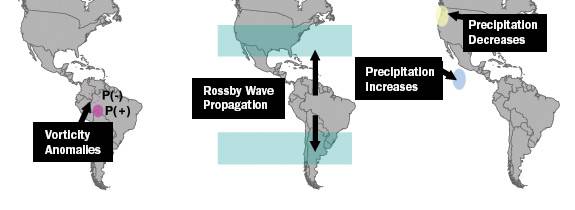 Medgivy Amazon America