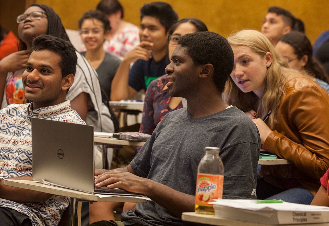 Scholars Institute Fellows Program (SIFP) chemistry precept