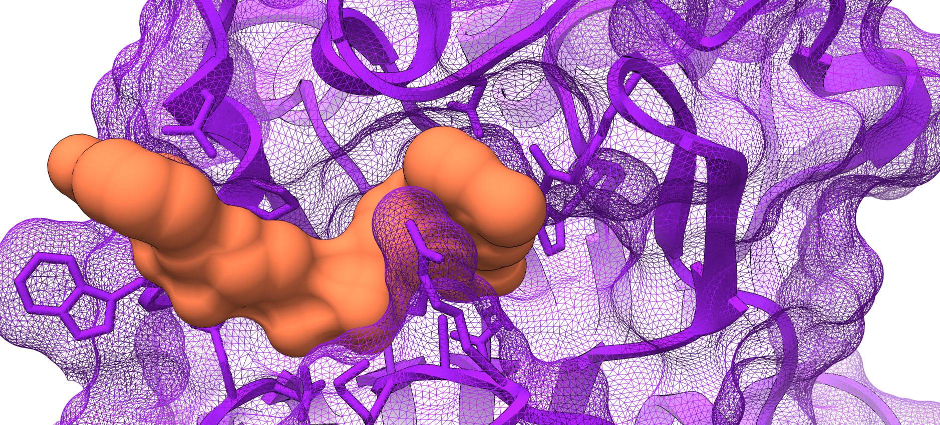 enzyme schematic