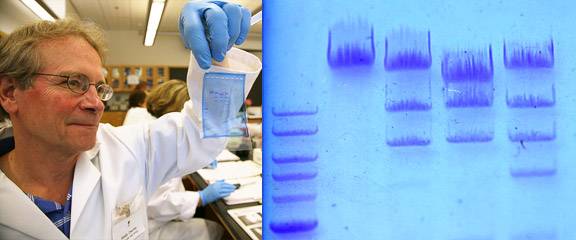 Test results