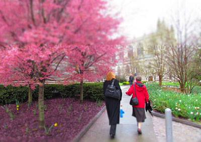 Blossoms chapel