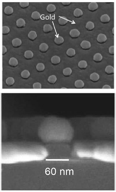 Chou microscope