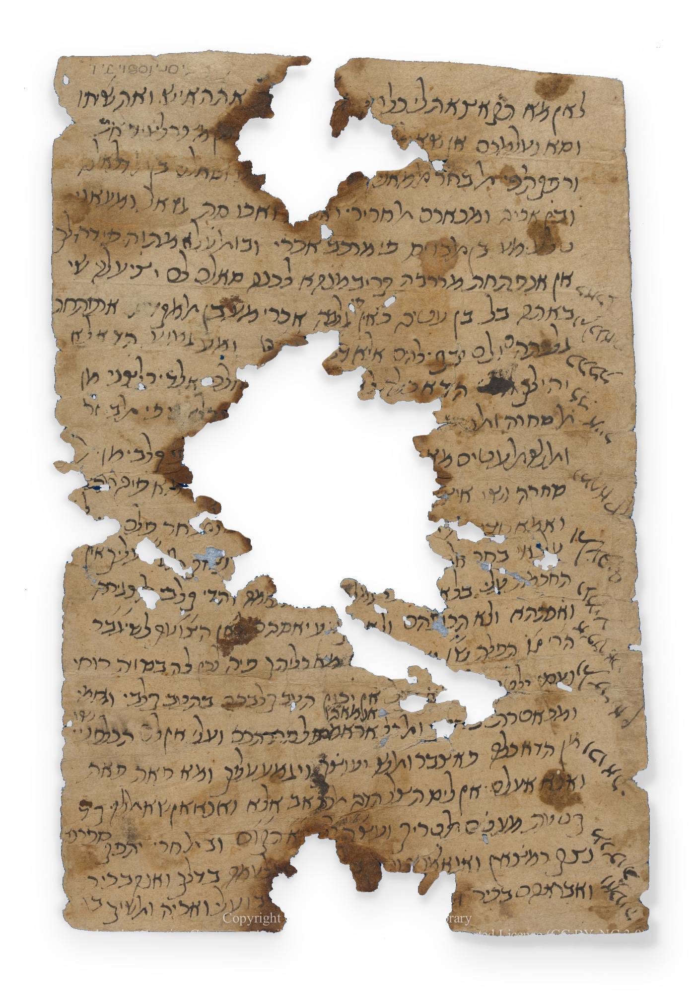 paper fragment